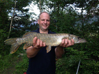 Feeder Hecht