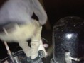 /album/fmf%c2%b4s-wallertour-2012/wp-000527-jpg/