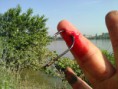 /album/fmf%c2%b4s-wallertour-2012/wp-000553-jpg/